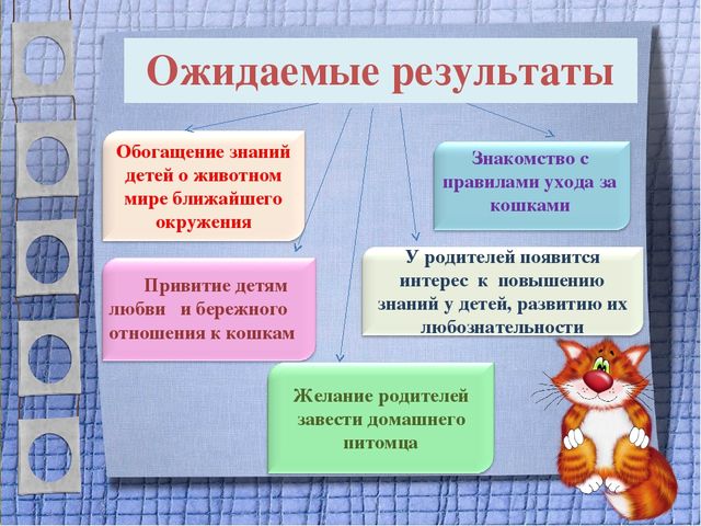 Презентация проекта для 2 младшей группы "Мягкие лапки, а в лапках - царапки"