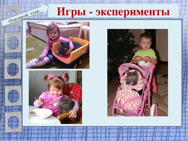 Презентация проекта для 2 младшей группы "Мягкие лапки, а в лапках - царапки"