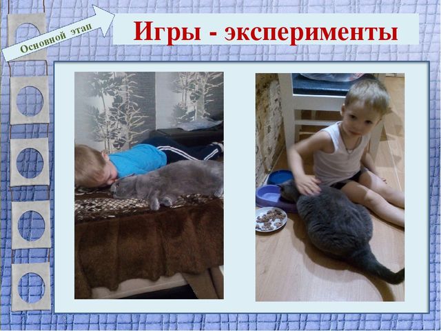 Презентация проекта для 2 младшей группы "Мягкие лапки, а в лапках - царапки"