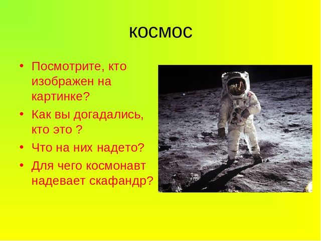 Презентация Растения -легкие Земли
