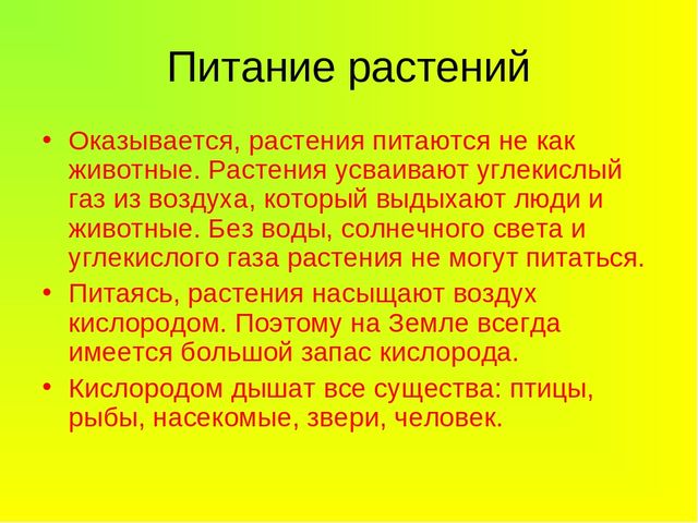 Презентация Растения -легкие Земли