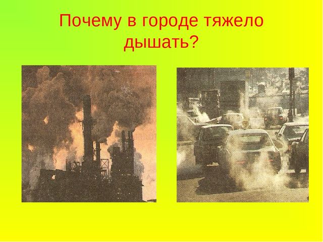 Презентация Растения -легкие Земли