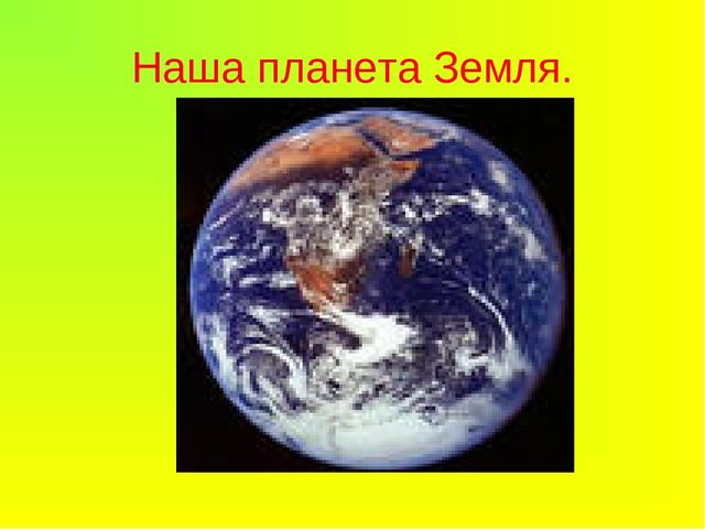 Презентация Растения -легкие Земли