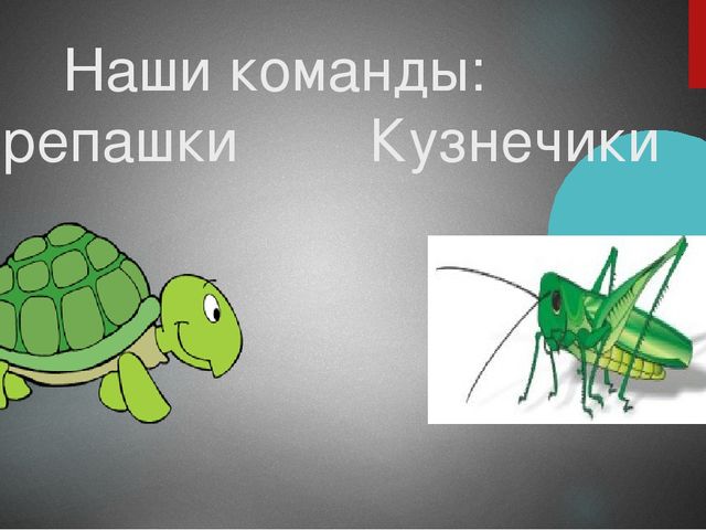 Презентация к спортивному празднику "Приключения Буратино"