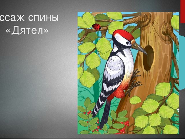 Презентация к спортивному празднику "Приключения Буратино"