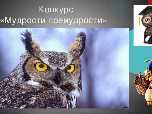 Презентация к спортивному празднику "Приключения Буратино"