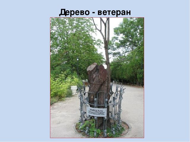Презентация, посвященная юбилею Великой Победы, "Город - герой Севастополь"
