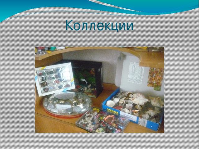 Презентация "Проектно - исследовательская деятельность"