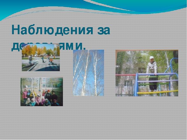 Презентация "Проектно - исследовательская деятельность"