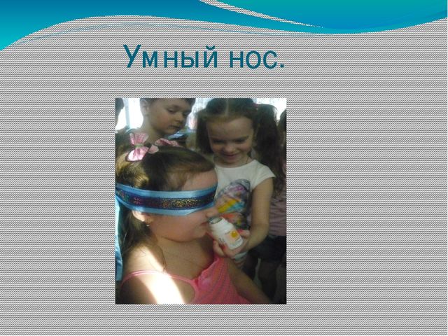 Презентация "Проектно - исследовательская деятельность"