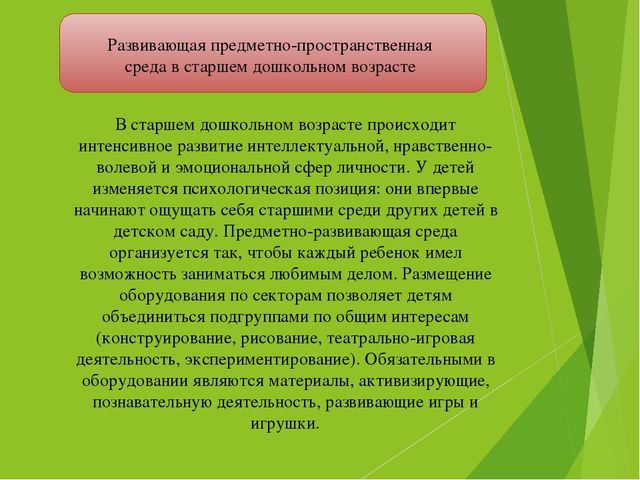 Презентация по теме - предметно-развивающая среда (дошкольники)