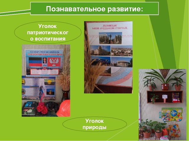 Презентация по теме - предметно-развивающая среда (дошкольники)