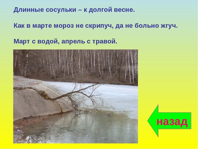 Презентация на тему: "В гости к весне"