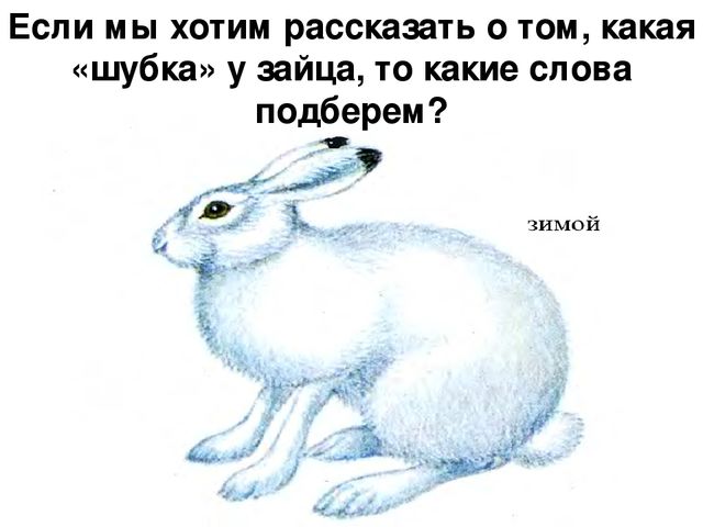 Презентация по развитию речи "Описание по картинкам"