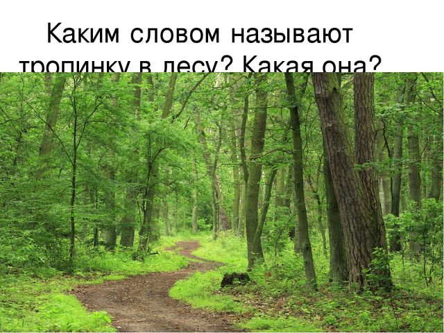 Презентация по развитию речи "Описание по картинкам"
