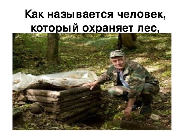 Презентация по развитию речи "Описание по картинкам"