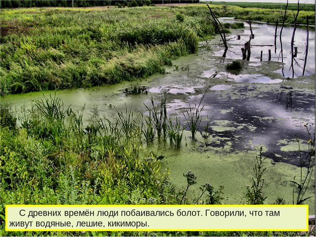 Презентация к дню водно-болотных угодий
