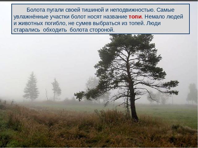 Презентация к дню водно-болотных угодий