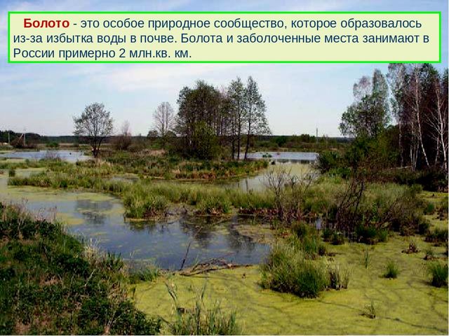 Презентация к дню водно-болотных угодий