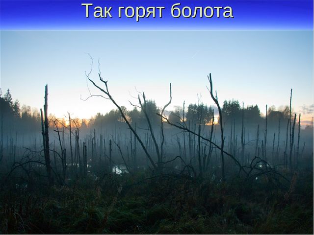 Презентация к дню водно-болотных угодий