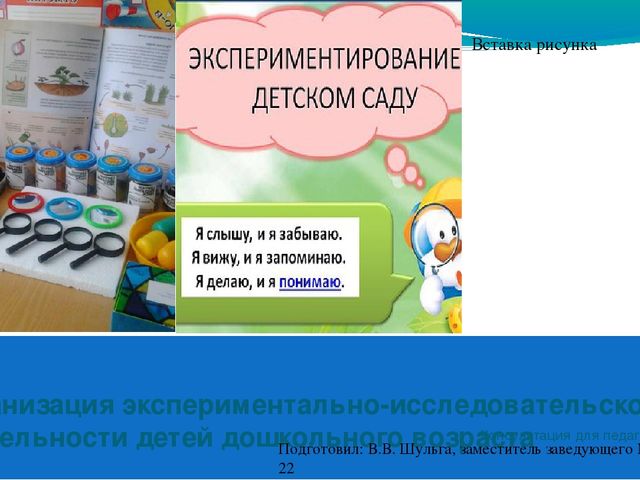 ЦОР "Организация экспериментально-исследовательской деятельности детей дошкольного возраста" (консультация для педагогов ДОО)