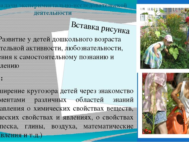ЦОР "Организация экспериментально-исследовательской деятельности детей дошкольного возраста" (консультация для педагогов ДОО)