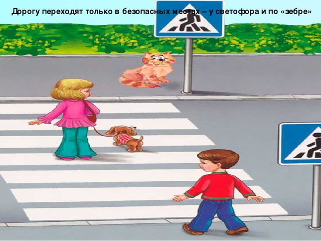 Презентация по ПДД "Как правильно переходить дорогу"