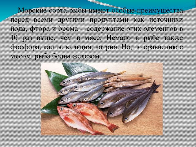 Презентация МДК 03.01 "Рыбы и морепродукты"