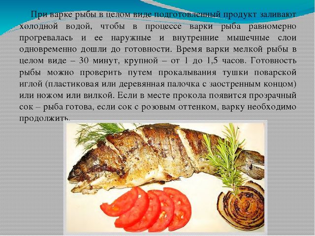 Презентация МДК 03.01 "Рыбы и морепродукты"