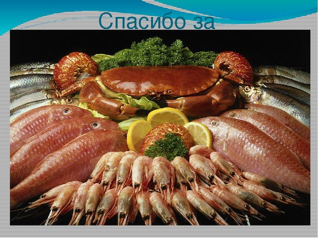Презентация МДК 03.01 "Рыбы и морепродукты"