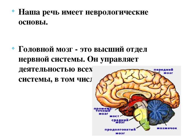 Презентация для воспитателей младшей группы на тему" Пальчиковые игры как способ развития речи детей младшего дошкольного возраста"