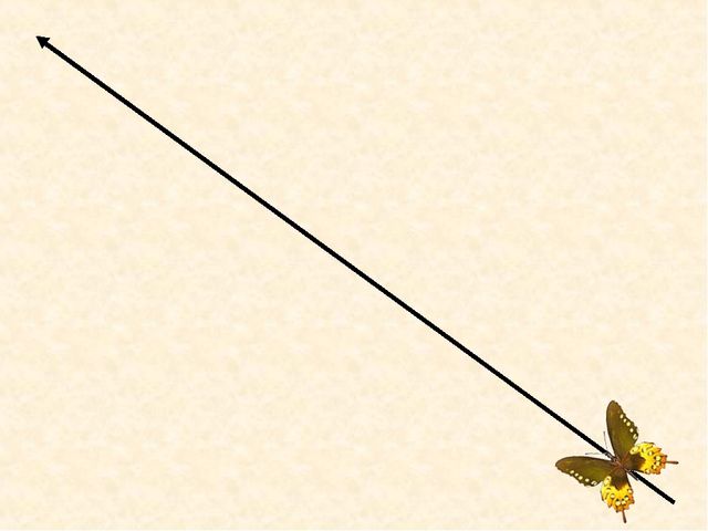 Зрительная гимнакстика для детей с нарушением зрения "Гимнастика для глаз"