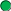 Shape41