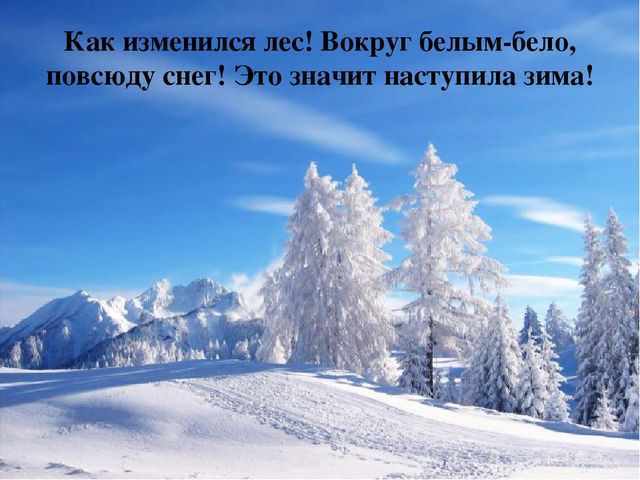 Презентация на тему "Зима" для детей младшего возраста