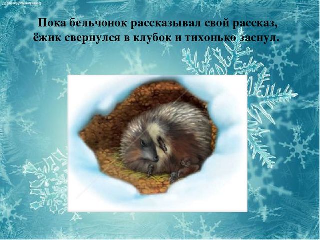 Презентация на тему "Зима" для детей младшего возраста