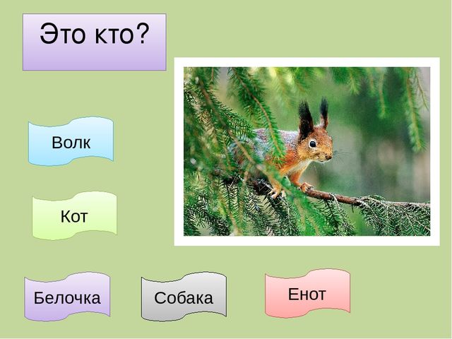 Дидактическая игра на тему: «Весёлые зверята»