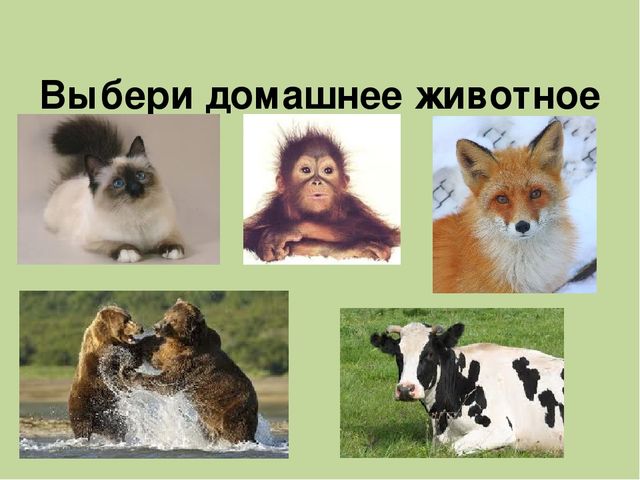 Дидактическая игра на тему: «Весёлые зверята»