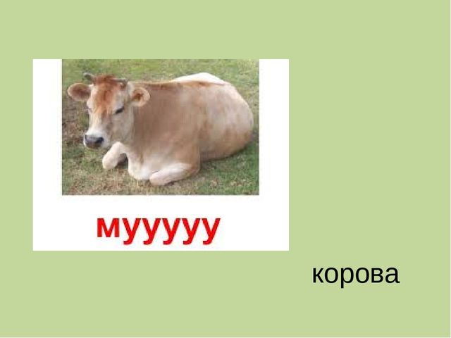 Дидактическая игра на тему: «Весёлые зверята»