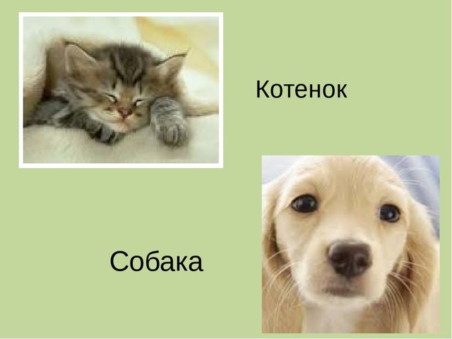Дидактическая игра на тему: «Весёлые зверята»