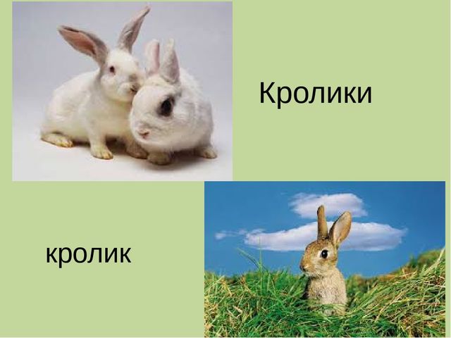 Дидактическая игра на тему: «Весёлые зверята»