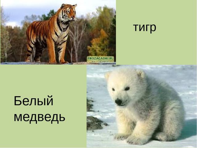 Дидактическая игра на тему: «Весёлые зверята»