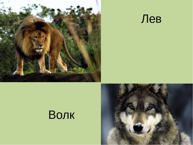 Дидактическая игра на тему: «Весёлые зверята»