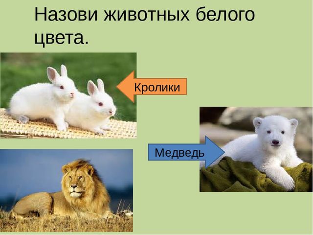 Дидактическая игра на тему: «Весёлые зверята»