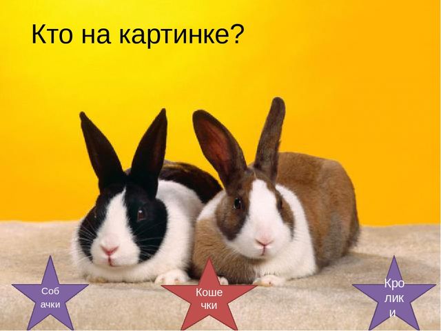 Дидактическая игра на тему: «Весёлые зверята»