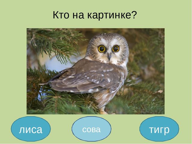 Дидактическая игра на тему: «Весёлые зверята»