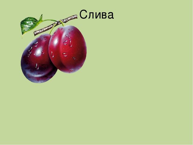 Дидактическая игра на тему: «Весёлые зверята»