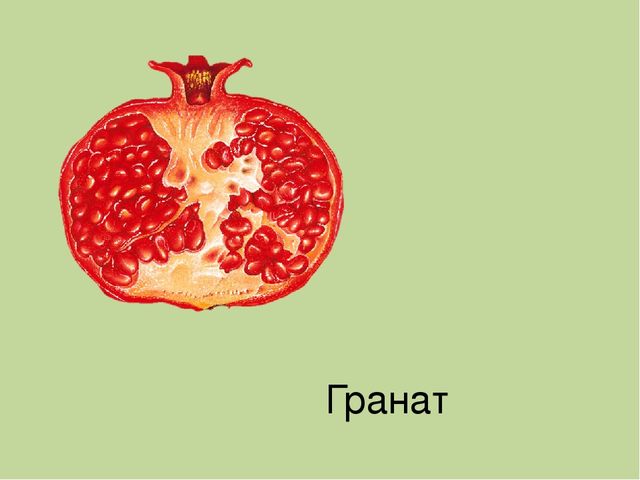 Дидактическая игра на тему: «Весёлые зверята»