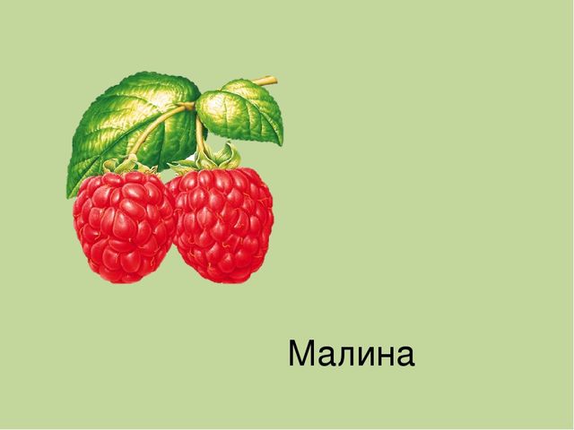 Дидактическая игра на тему: «Весёлые зверята»