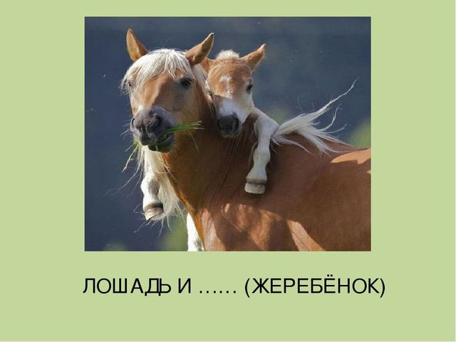 Дидактическая игра на тему: «Весёлые зверята»
