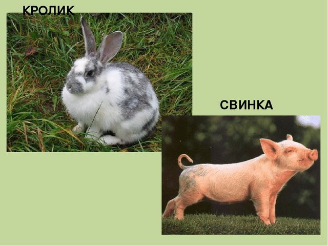 Дидактическая игра на тему: «Весёлые зверята»